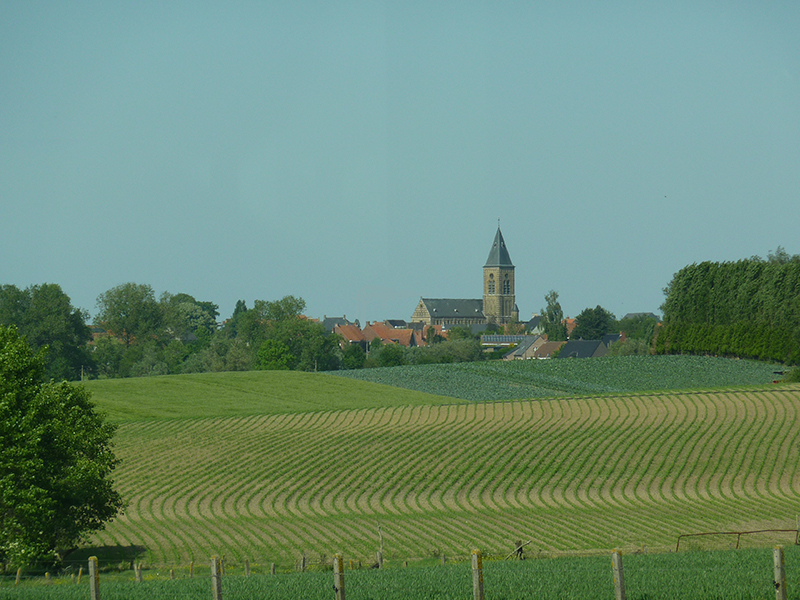 Camalou Battlefield Tours