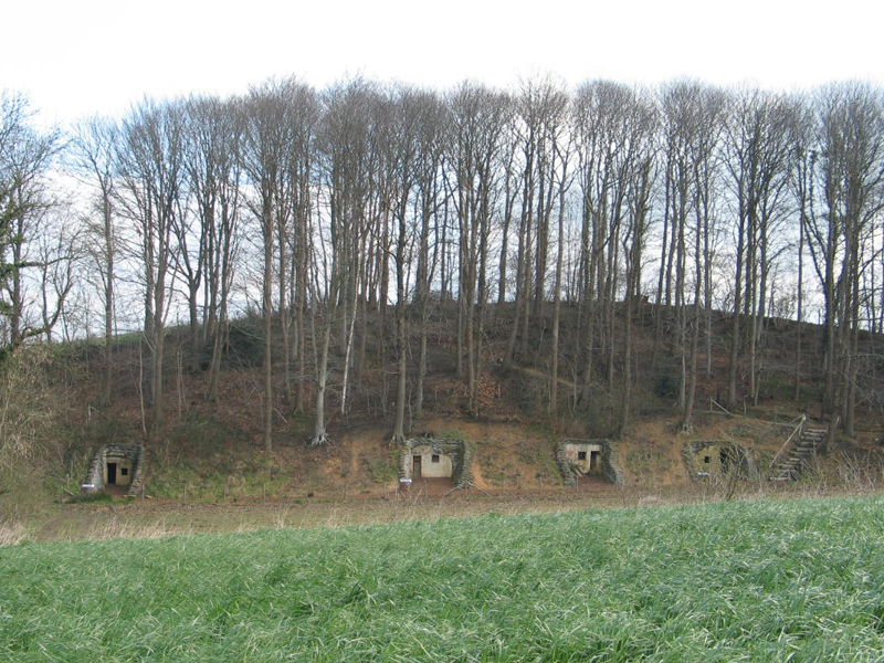 Camalou Battlefield Tours