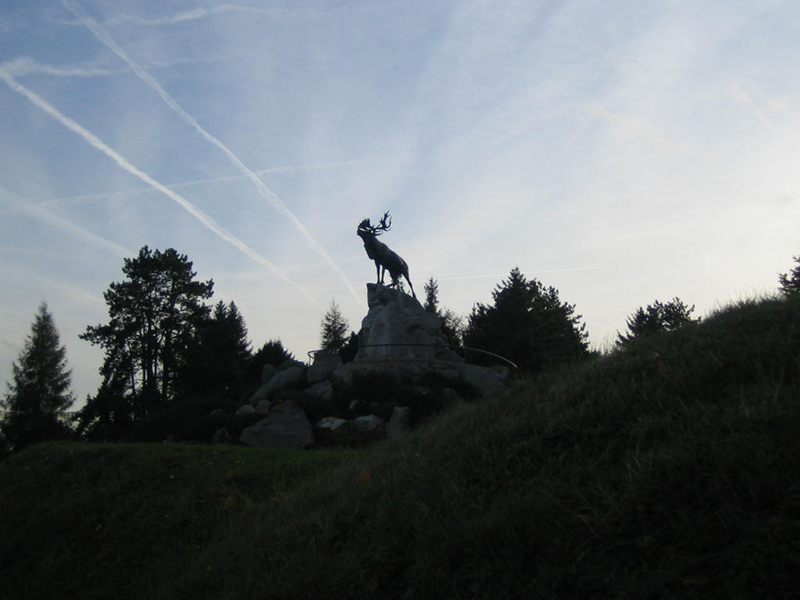 Camalou Battlefield Tours